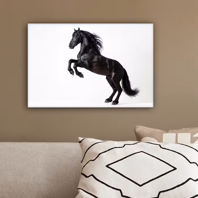Zwart - Paard - Portret canvas 2cm klein -sfeer3