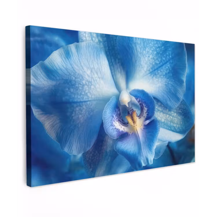 Blauw - Orchidee - Elegeant canvas 2cm klein -z3d