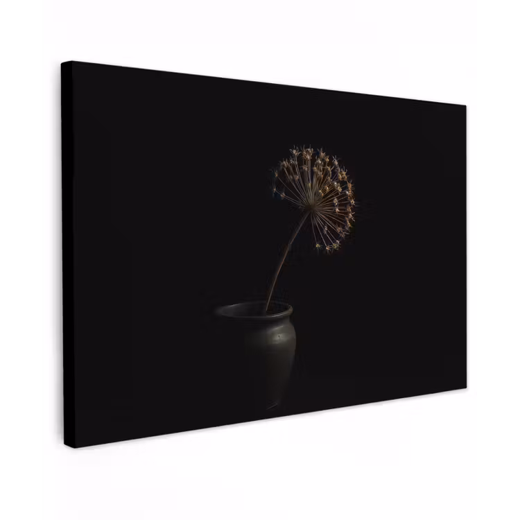 Bol - Gedroogd - Vaas - Zwart canvas 2cm klein -z3d