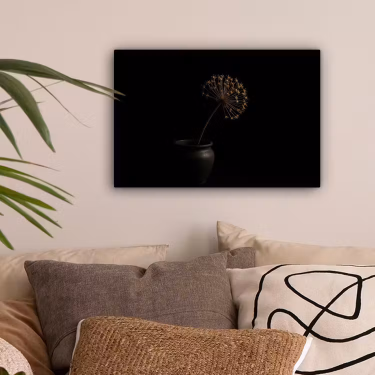 Bol - Gedroogd - Vaas - Zwart canvas 2cm klein -sfeer1
