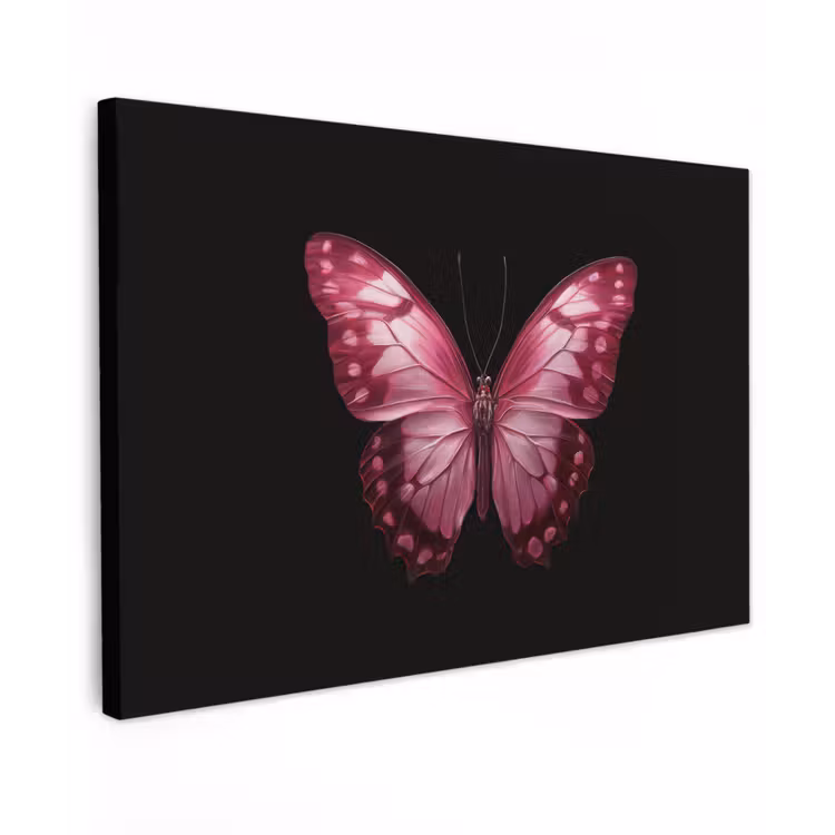 Vlinder - Fuchsia - Grafisch canvas 2cm klein -z3d