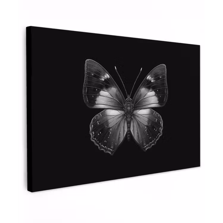 Vlinder - Grijs - Mysterieus canvas 2cm klein -z3d