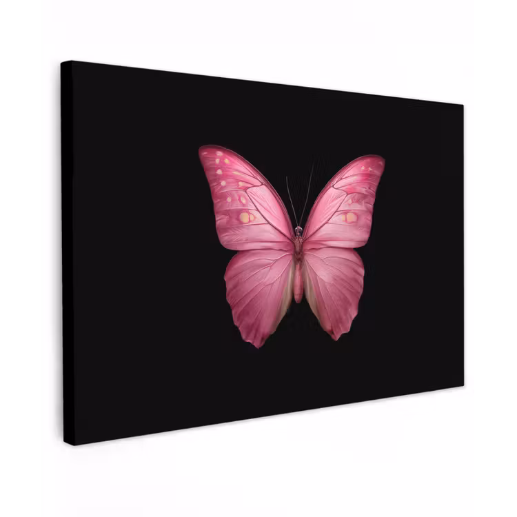 Vlinder - roze - Elegant canvas 2cm klein -z3d