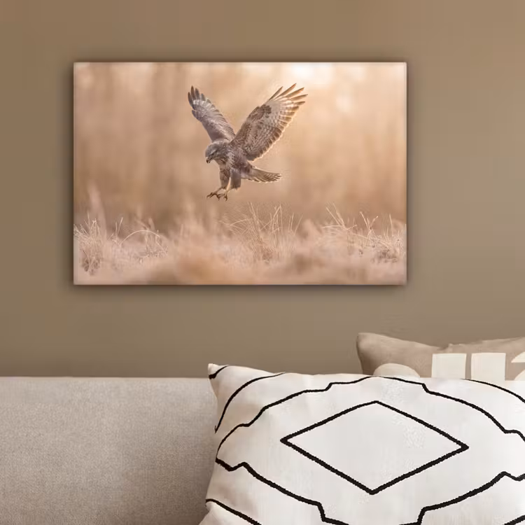Buizerd - Roofvogel - Natuur - Bruin canvas 2cm klein -sfeer3