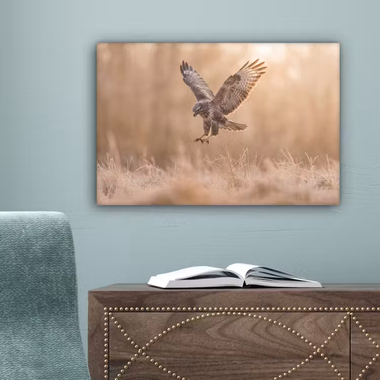 Buizerd - Roofvogel - Natuur - Bruin canvas 2cm klein -sfeer4