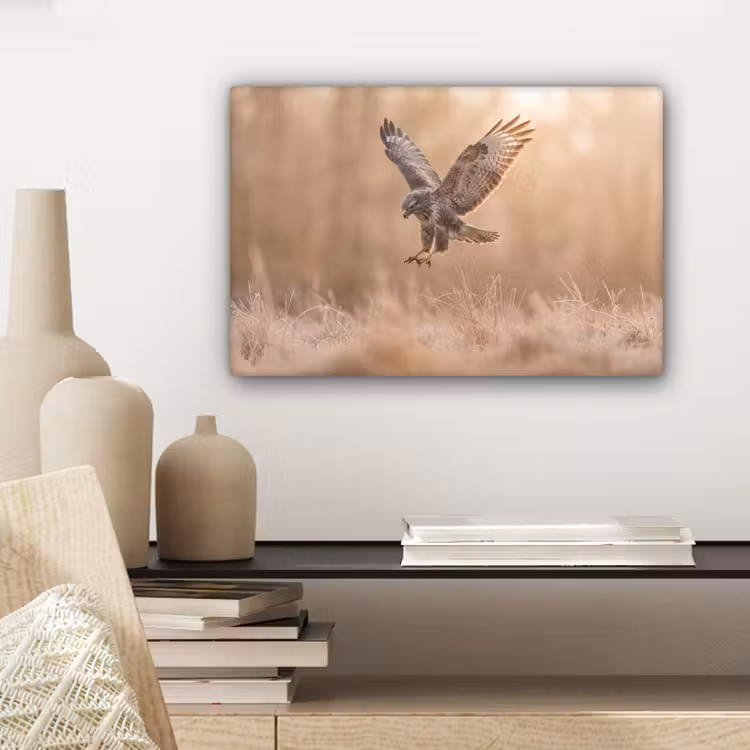 Buizerd - Roofvogel - Natuur - Bruin canvas 2cm klein -sfeer6