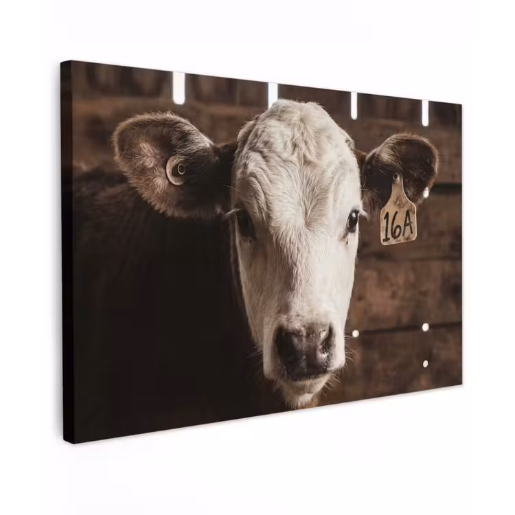 Kalf - Oormerk - Houten stal canvas 2cm klein -z3d
