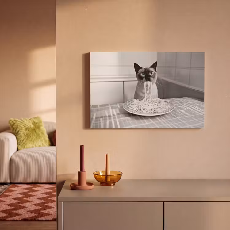 Kat - Siamees - Zwart Wit - Schattig - Dieren canvas 2cm klein -sfeer1