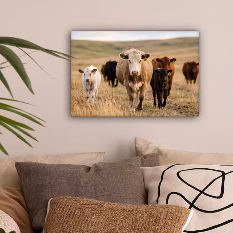 Runderen - Kudde - Landschap - Weide - Rustig canvas 2cm klein -sfeer1