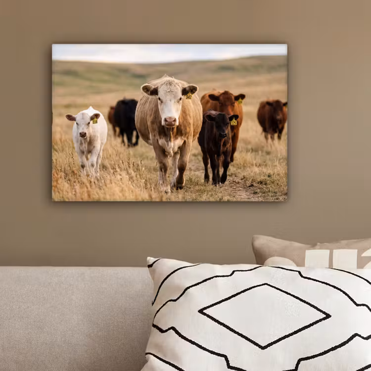 Runderen - Kudde - Landschap - Weide - Rustig canvas 2cm klein -sfeer3