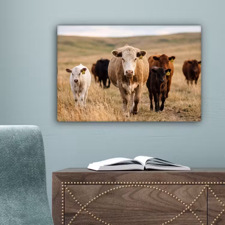 Runderen - Kudde - Landschap - Weide - Rustig canvas 2cm klein -sfeer4
