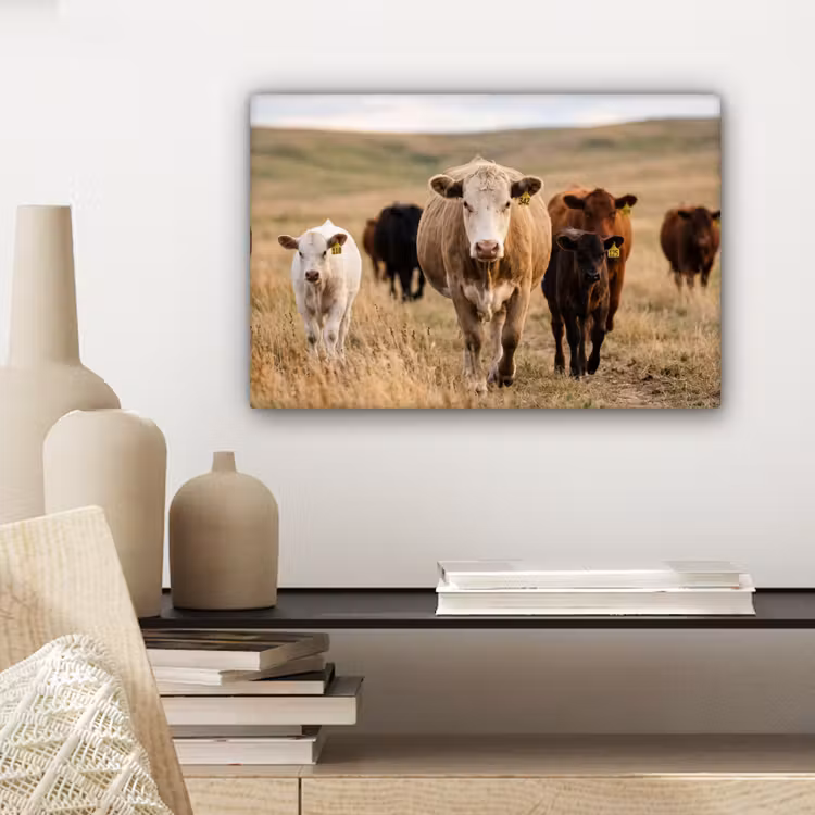 Runderen - Kudde - Landschap - Weide - Rustig canvas 2cm klein -sfeer6