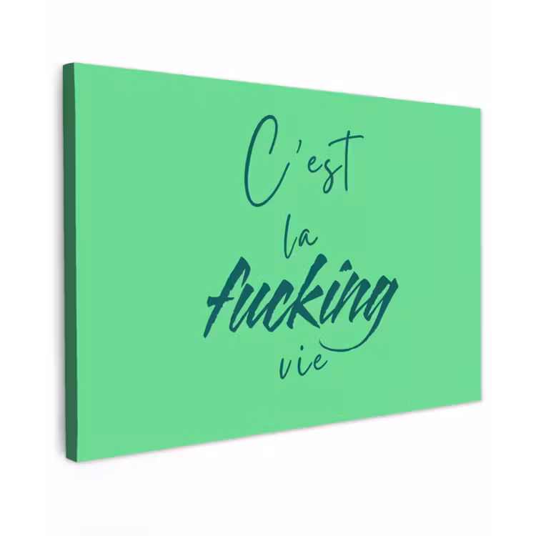 c'est la fucking vie - Groen - Penseelstijl canvas 2cm klein -z3d