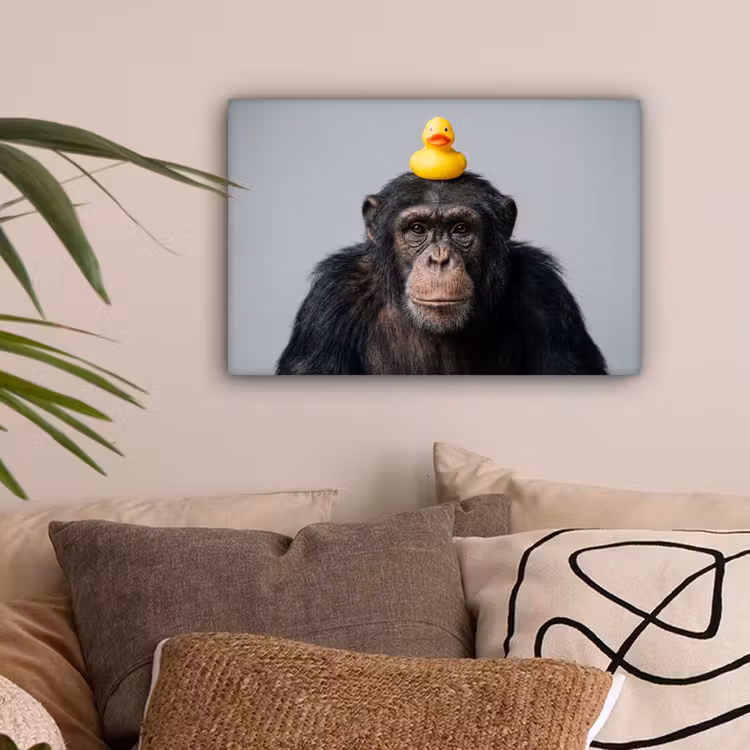 Chimpansee - Badeend - Grijs canvas 2cm klein -sfeer1
