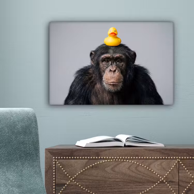 Chimpansee - Badeend - Grijs canvas 2cm klein -sfeer4