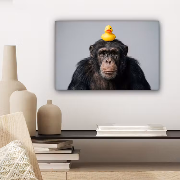 Chimpansee - Badeend - Grijs canvas 2cm klein -sfeer6
