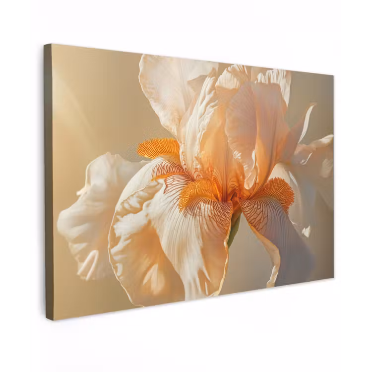 Close up - Oranje - Iris canvas 2cm klein -z3d
