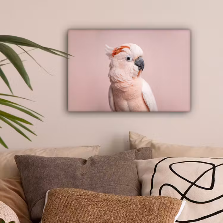 Kaketoe - Portret - Roze canvas 2cm klein -sfeer1