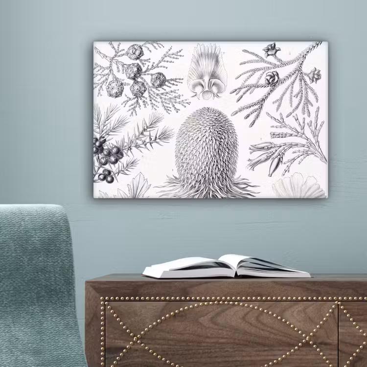Coniferen - Ernst Haeckel - Kunst - Retro - Illustratie - Natuur canvas 2cm klein -sfeer4