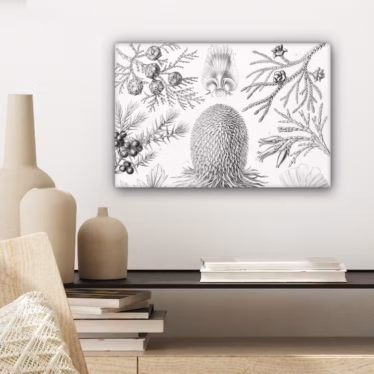 Coniferen - Ernst Haeckel - Kunst - Retro - Illustratie - Natuur canvas 2cm klein -sfeer6