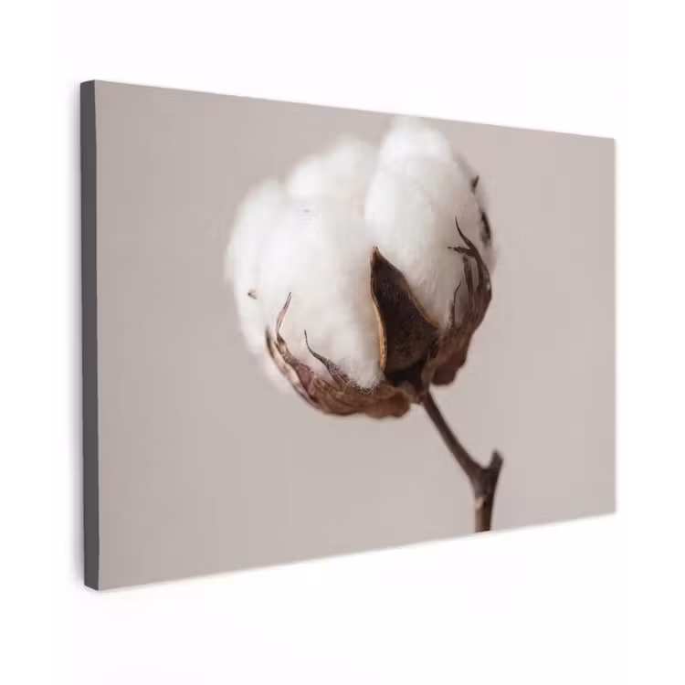 Katoenbol - Minimalistisch - Wit canvas 2cm klein -z3d