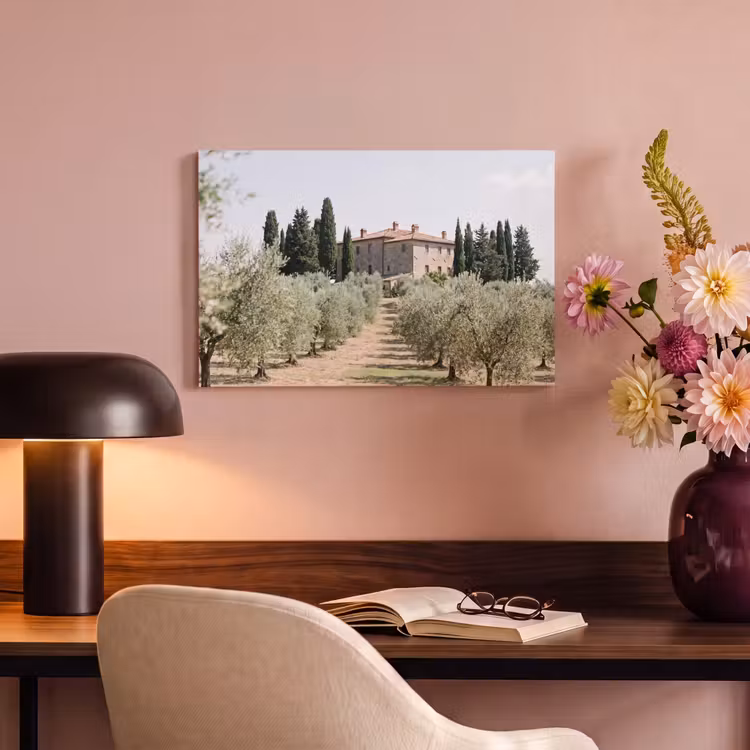 Canvas Print - Country house - olive tree - orchard - Landhuis - olijfboom - gaard canvas 2cm klein