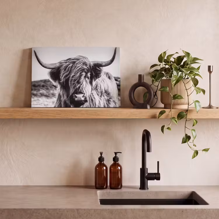 Koe - Schotse hooglander - Zwart - Wit - Dier - Natuur - Wild canvas 2cm klein -sfeer3