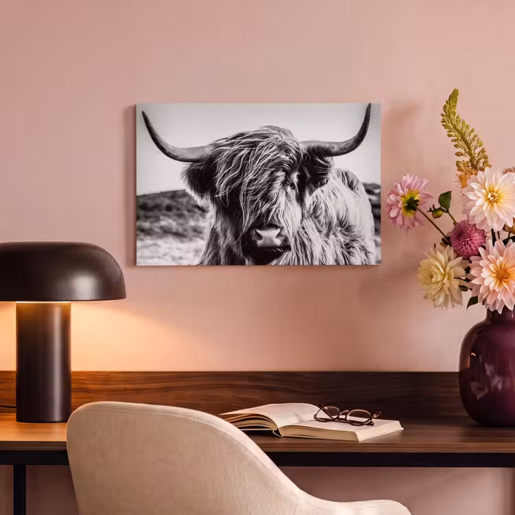 Koe - Schotse hooglander - Zwart - Wit - Dier - Natuur - Wild canvas 2cm klein -sfeer4