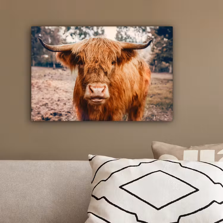 Koe- Schotse hooglander - Hoorns - Bruin - Landschap canvas 2cm klein -sfeer3