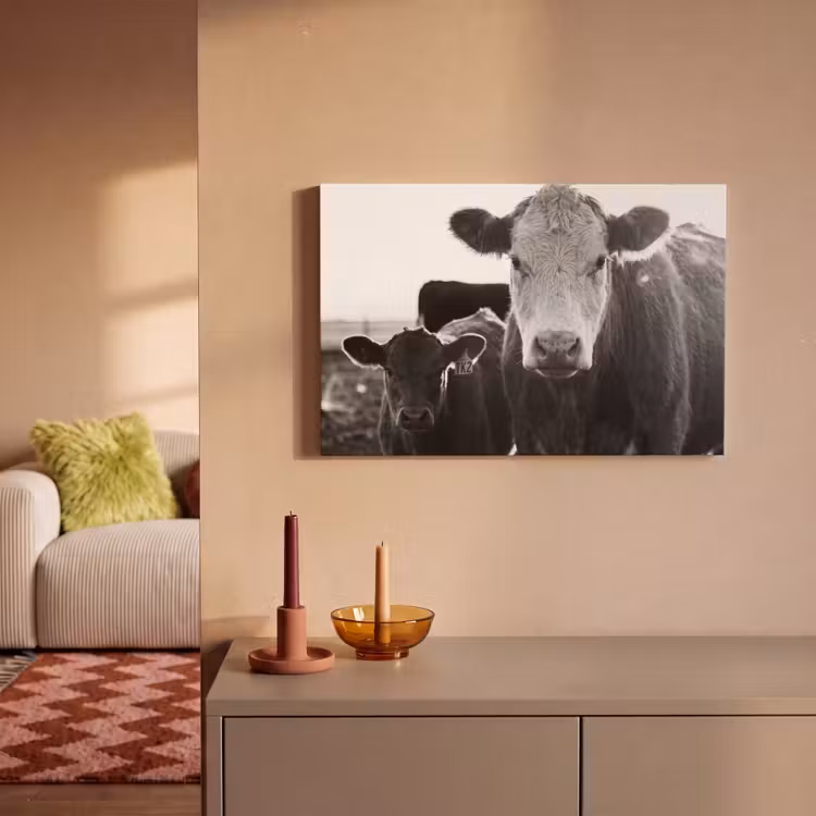 Koeien - Zwart - Wit canvas 2cm klein -sfeer1
