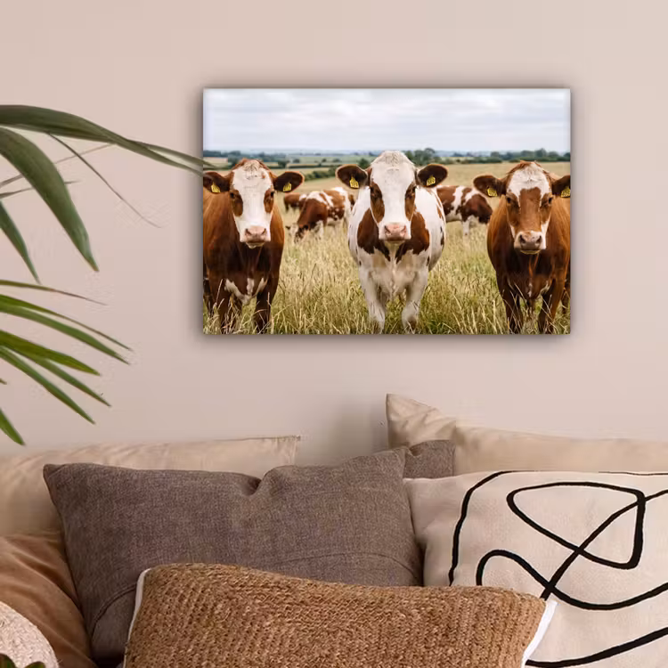 Koeien - Portret - Weide - Boerderij - Nieuwsgierig canvas 2cm klein -sfeer1