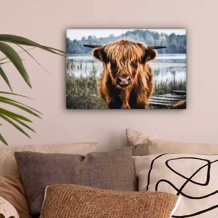 Koeien - Schotse hooglander - Bruin - Natuur canvas 2cm klein -sfeer1