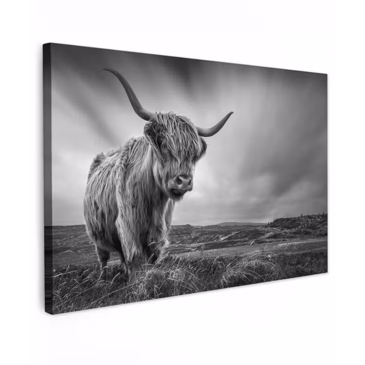 Koeien - Schotse hooglander - Natuur - Dieren - Zwart wit canvas 2cm klein -z3d
