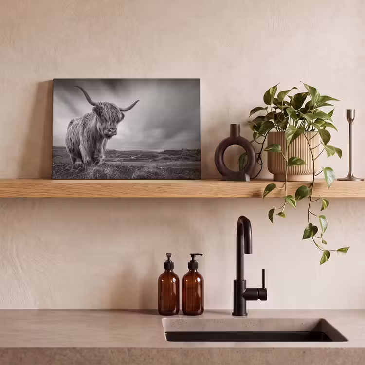 Koeien - Schotse hooglander - Natuur - Dieren - Zwart wit canvas 2cm klein -sfeer3