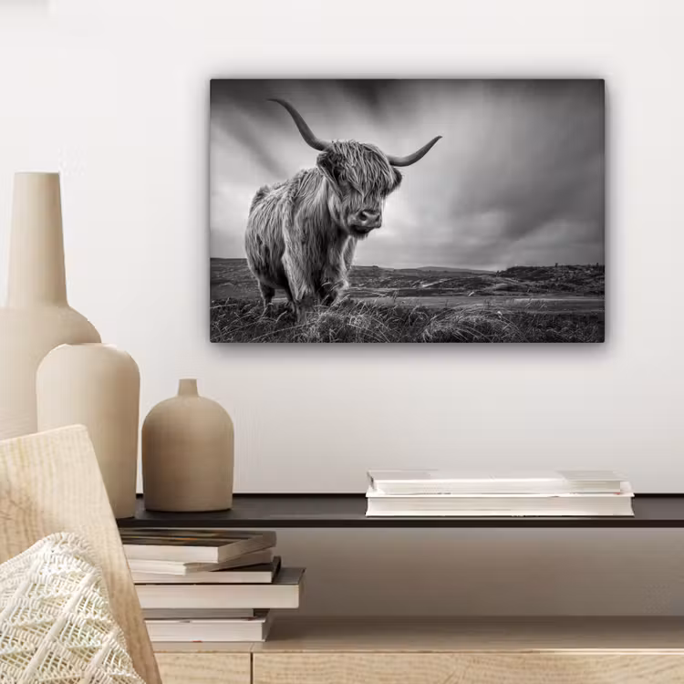 Koeien - Schotse hooglander - Natuur - Dieren - Zwart wit canvas 2cm klein -sfeer6