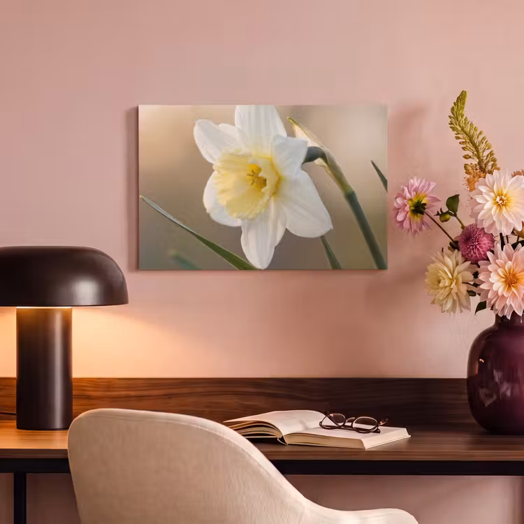 Narcis - Bloem - Minimalistisch canvas 2cm klein -sfeer4