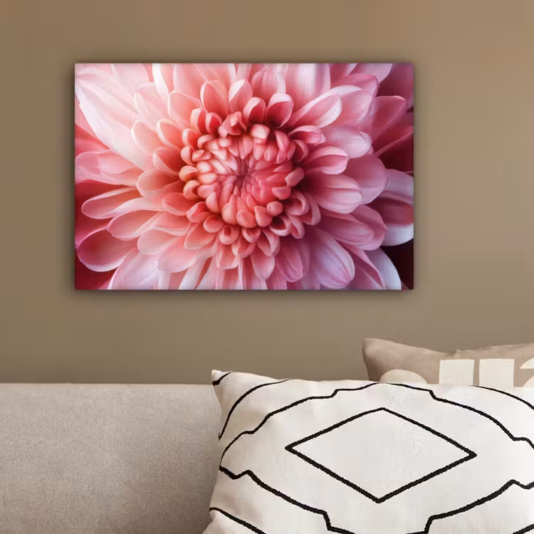 Dahlia - Bloem - Close up - Roze canvas 2cm klein -sfeer3