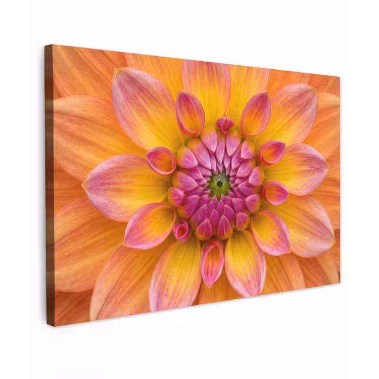 Dahlia - Bloem - Oranje canvas 2cm klein -z3d