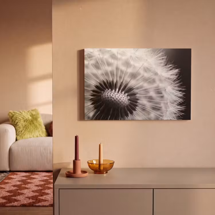 Paardenbloem - Zwart - Wit canvas 2cm klein -sfeer1