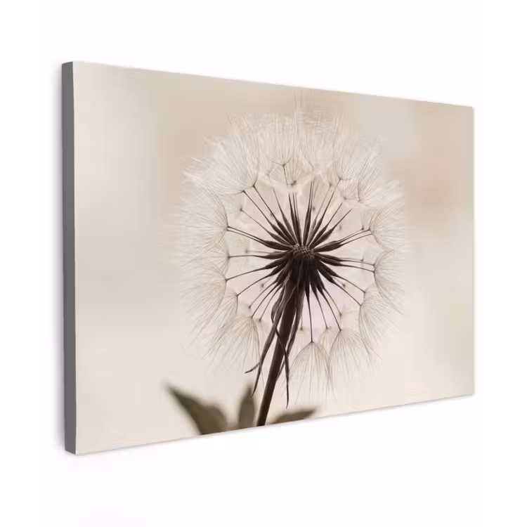 Paardenbloem - Minimalistisch - Wit canvas 2cm klein -z3d