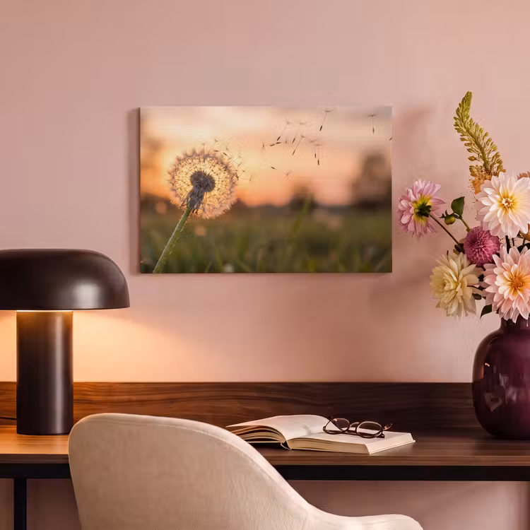 Paardenbloem - Zonsondergang - Veld canvas 2cm klein -sfeer4