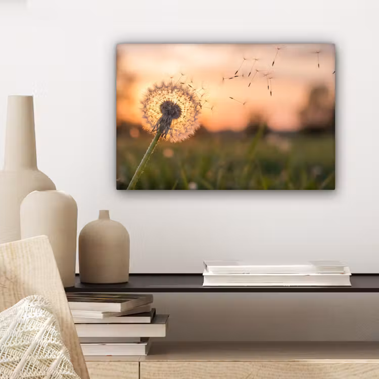 Paardenbloem - Zonsondergang - Veld canvas 2cm klein -sfeer6