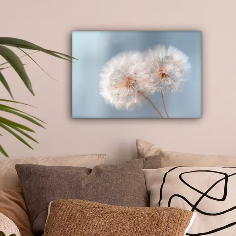 Paardenbloemen - Pluisjes - Wit canvas 2cm klein -sfeer1