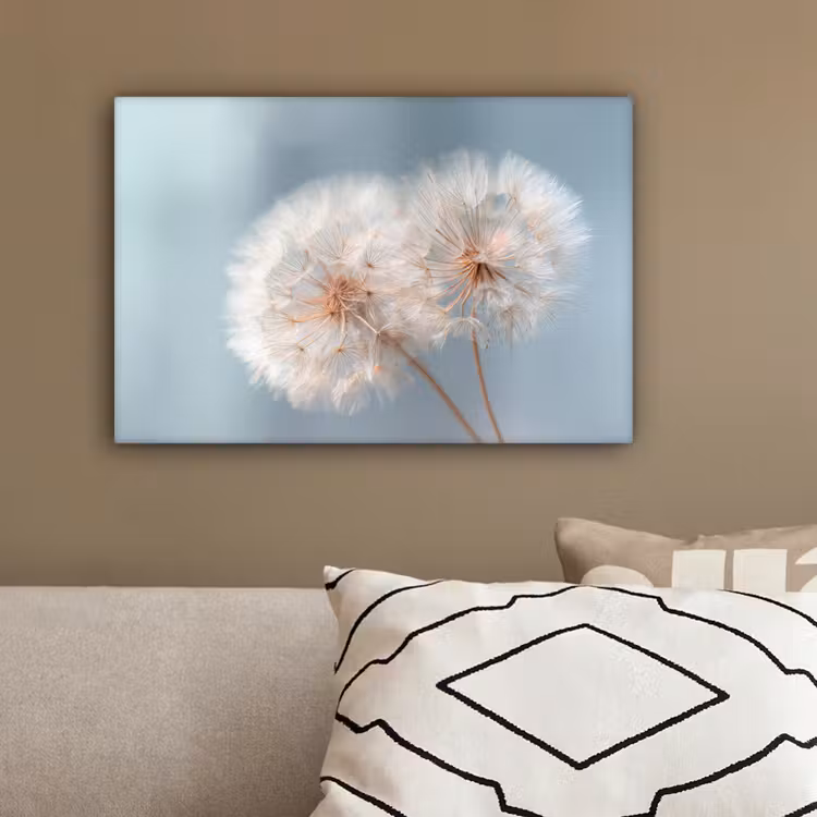 Paardenbloemen - Pluisjes - Wit canvas 2cm klein -sfeer3