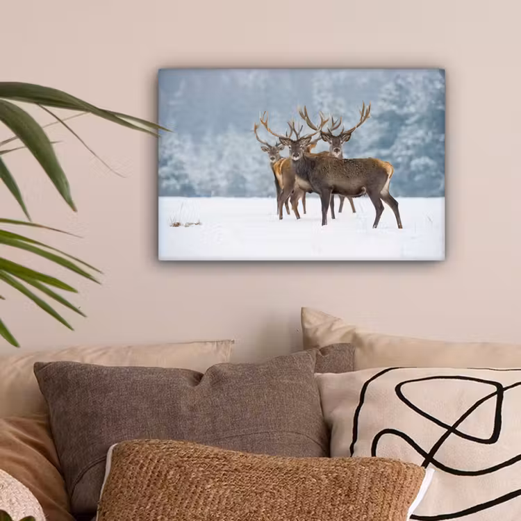 Hert - Dieren - Sneeuw - Winter - Landschap - Natuur canvas 2cm klein -sfeer1