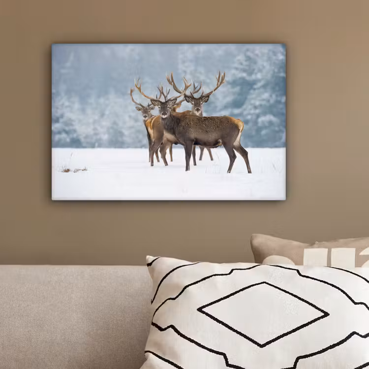Hert - Dieren - Sneeuw - Winter - Landschap - Natuur canvas 2cm klein -sfeer3