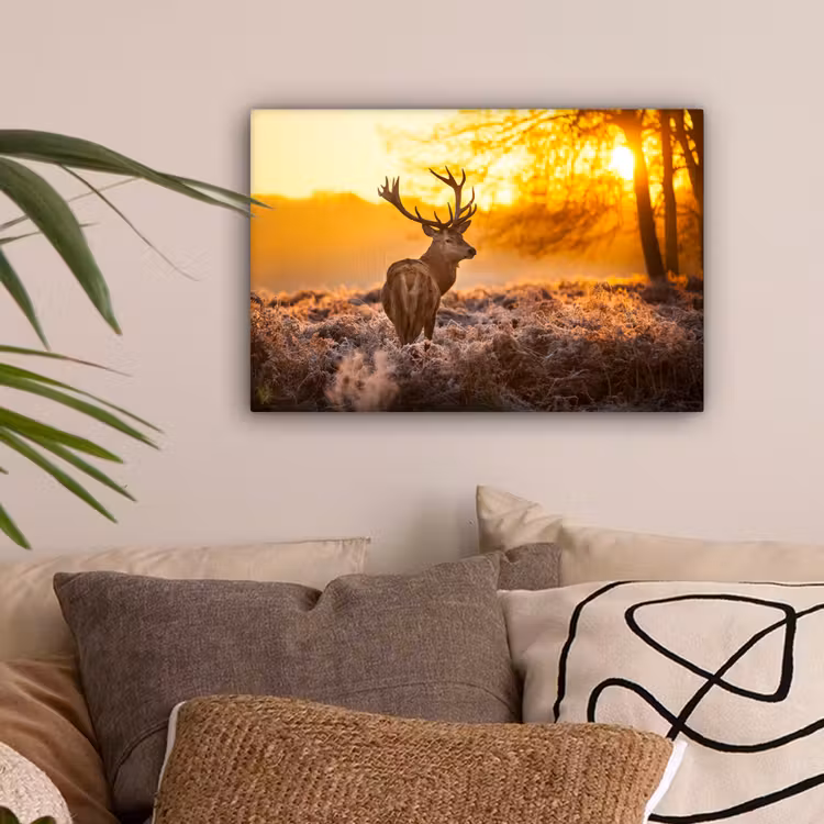 Hert - Dieren - Zonsondergang - Winter - Heide - Natuur canvas 2cm klein -sfeer1