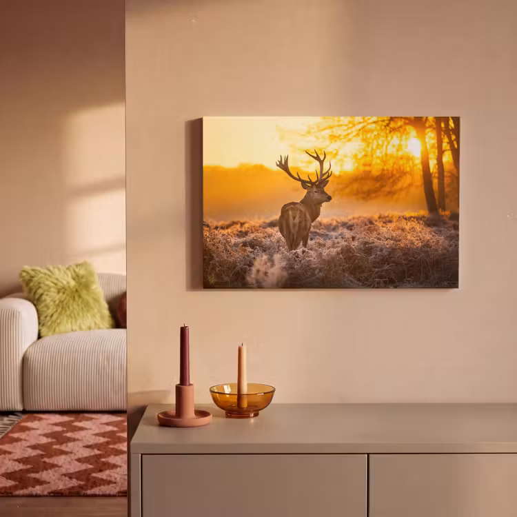 Hert - Dieren - Zonsondergang - Winter - Heide - Natuur canvas 2cm klein -sfeer1