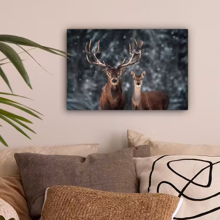 Hert - Dieren - Winter - Gewei - Sneeuw - Natuur canvas 2cm klein -sfeer1