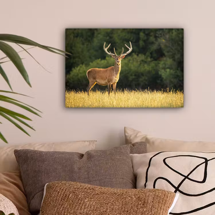 Hert - Gewei - Gras - Natuur - Dieren - Groen canvas 2cm klein -sfeer1